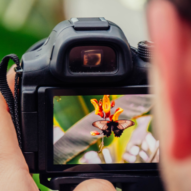 Occasion photoshop camara dax