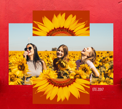 tirage camara professionnel